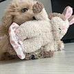 Rabbit Squirrel Sleep Accompany Pet Toys