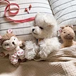 Rabbit Squirrel Sleep Accompany Pet Toys