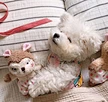 Rabbit Squirrel Sleep Accompany Pet Toys