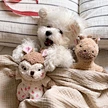 Rabbit Squirrel Sleep Accompany Pet Toys