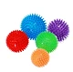 Dog Balls Toy