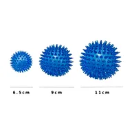 Dog Balls Toy