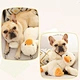 Pet Plush Duck Shape Toy