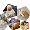 Pet Plush Duck Shape Toy