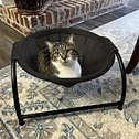 Pet Hammock