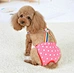 Pantalones de incontinencia para perros