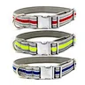Nylon Dog Collar With Leash
