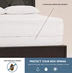 Premium Shower Chair
