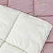 bed quilt