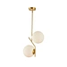 two head led globe pendant light fixture
