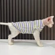 Cat sweater