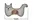 cat toys