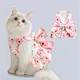 pet clothing