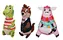 Cotton dog toys