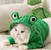 pet hoodie