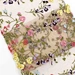 LACE Eyele