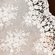 LACE Vintage Cotton