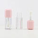 Travel sized lip gloss container
Empty Mini lipstick tube