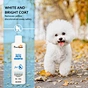 white pet shampoo