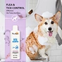 pet lice shampoo