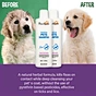 pet pleasant shampoo