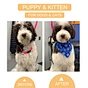 healthy pet shampoo