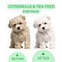 pet shampoo for dogs