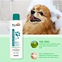 pet shampoo cat