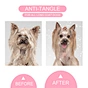 true pet care shampoo