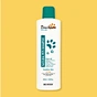antimicrobial pet shampoo