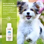 pet antifungal shampoo