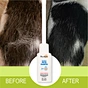best pet shampoo for allergies