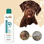 pet head oatmeal shampoo