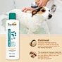 best oatmeal pet shampoo