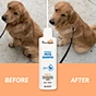 pet dander shampoo for dogs