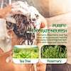 Purifying Shampoo