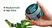 Hair Styling Cream