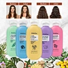 Biotin Shampoo