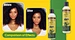 Olive Oil Conditioner