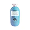 Repair Conditioner