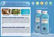Repair Conditioner