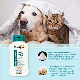 dry shampoo powder