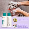 cat shampoo
