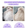 cat shampoo