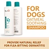 oatmeal shampoo for dogs