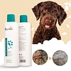 oatmeal shampoo for dogs