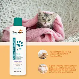 kitten shampoo