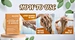 shampoo bar