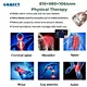 laser Physiotherapy