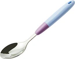 Stainless Steel Spoon